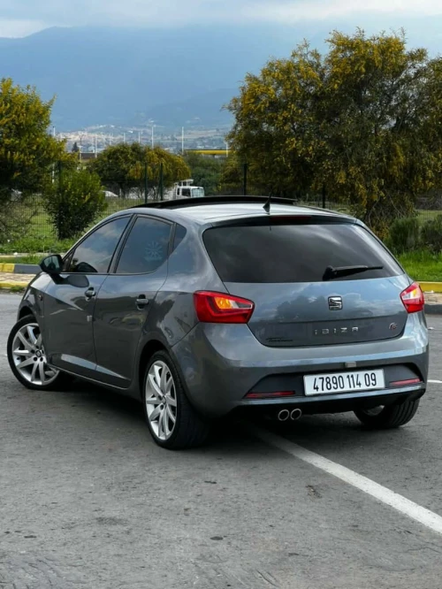 Seat Ibiza 2014 Edition 30