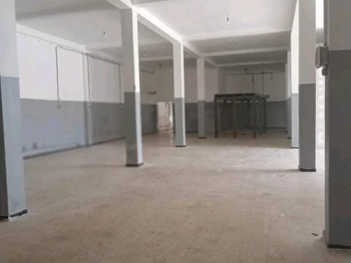 Location Hangar - Usine Djelfa Ain oussara
