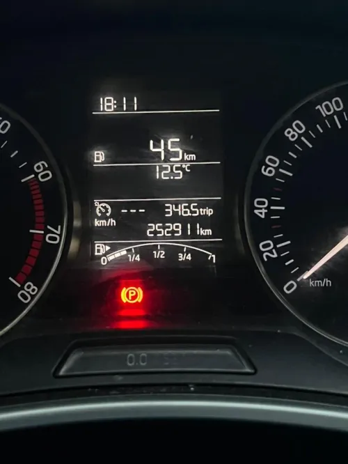Skoda Fabia 2015 Visage