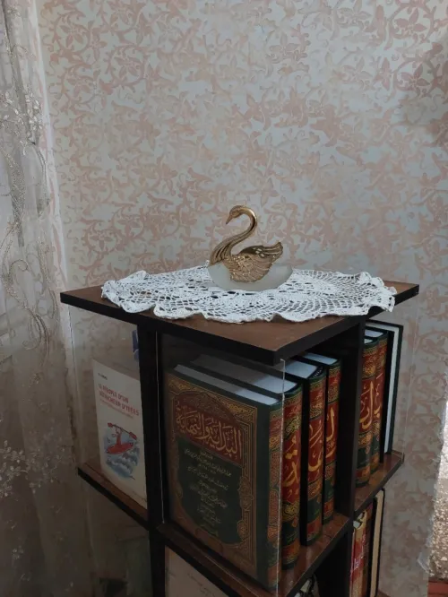 رف حامل للكتب دوار