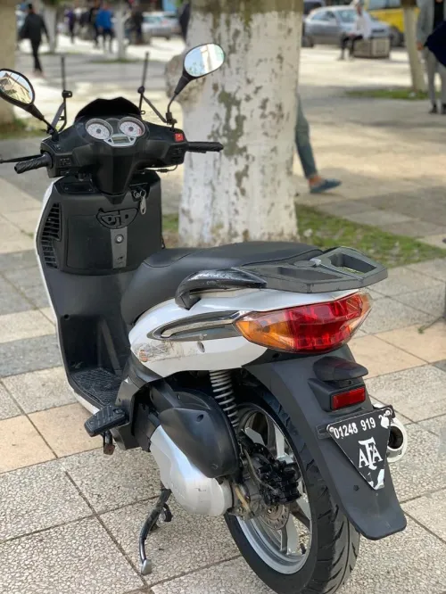 Benelli Logik Logik 2019