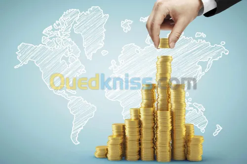 Etudes en investissement, études agricole, conseils en investissement.