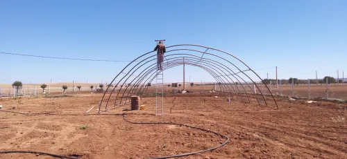 Vente Terrain Agricole Sidi Bel Abbès Hassi dahou