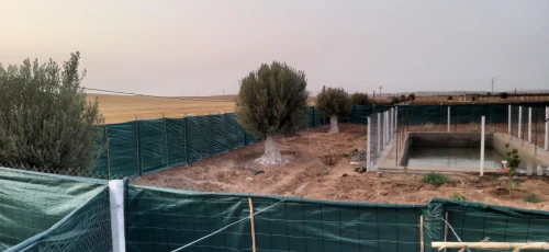 Vente Terrain Agricole Sidi Bel Abbès Hassi dahou