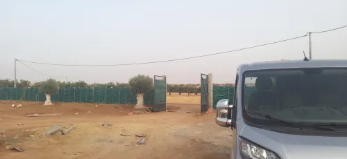 Vente Terrain Agricole Sidi Bel Abbès Hassi dahou