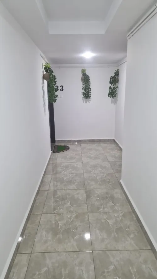 Location Appartement F3 F4 Alger Cheraga