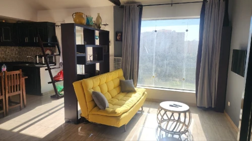 Location Appartement Niveau de villa Studio Alger Birkhadem