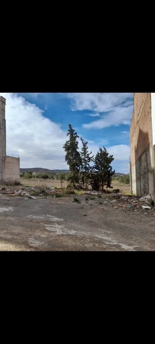 Vente Terrain Tlemcen Tlemcen