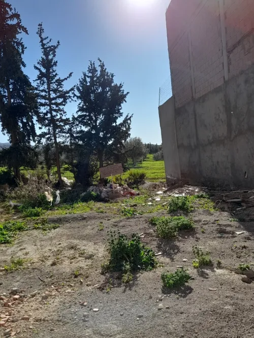 Vente Terrain Tlemcen Tlemcen