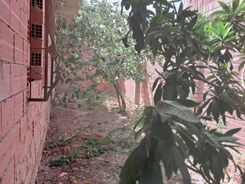 Vente Villa Aïn Defla Hoceinia