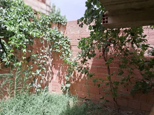 Vente Villa Aïn Defla Hoceinia