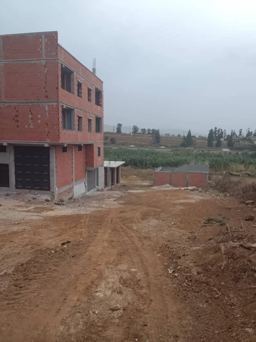 Vente Terrain Boumerdès Ouled moussa