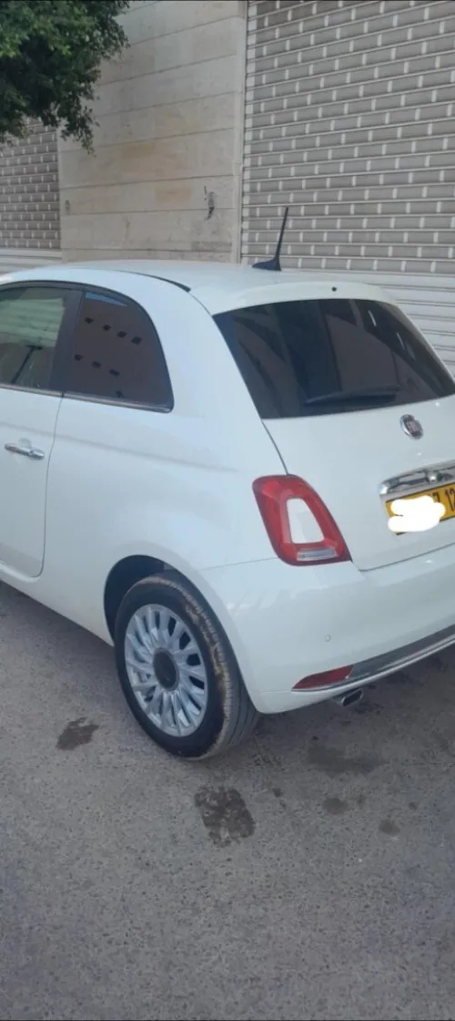 Fiat 500 2025 