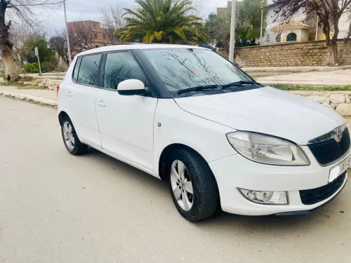 Skoda Fabia 2014 Fresh