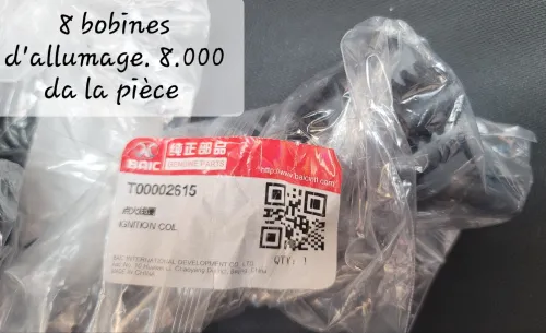 Pièces Baic Beijing X7