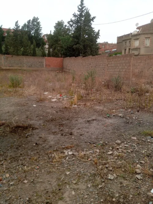 Vente Terrain Bouira Sour el ghouzlane