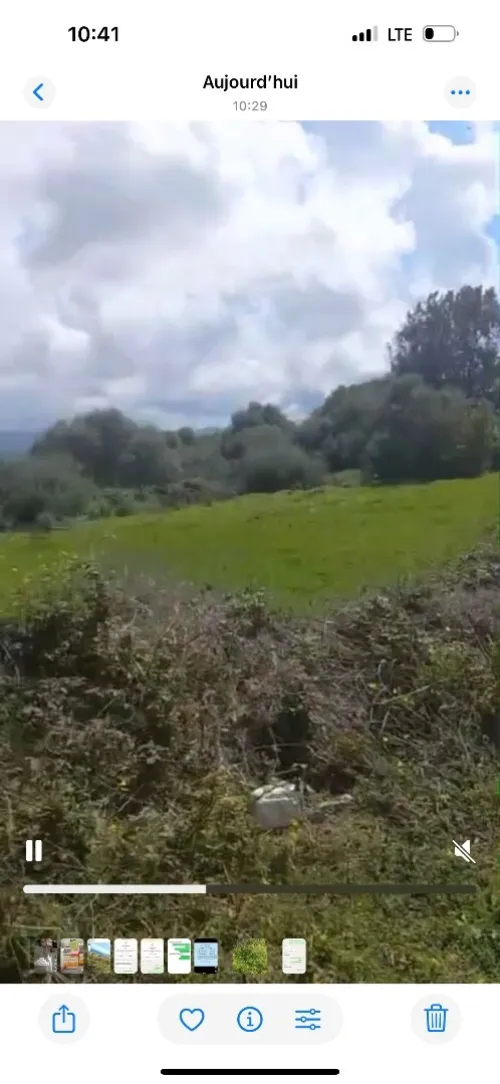 Vente Terrain Boumerdès Dellys