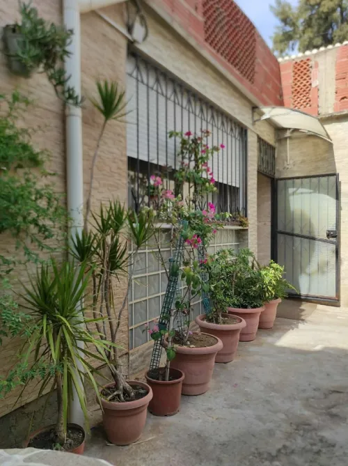 Vente Villa Blida Blida