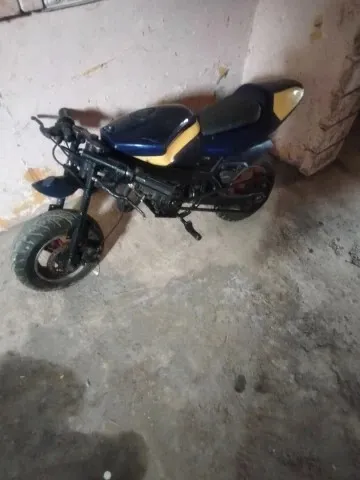 Mini moto Sport 2014