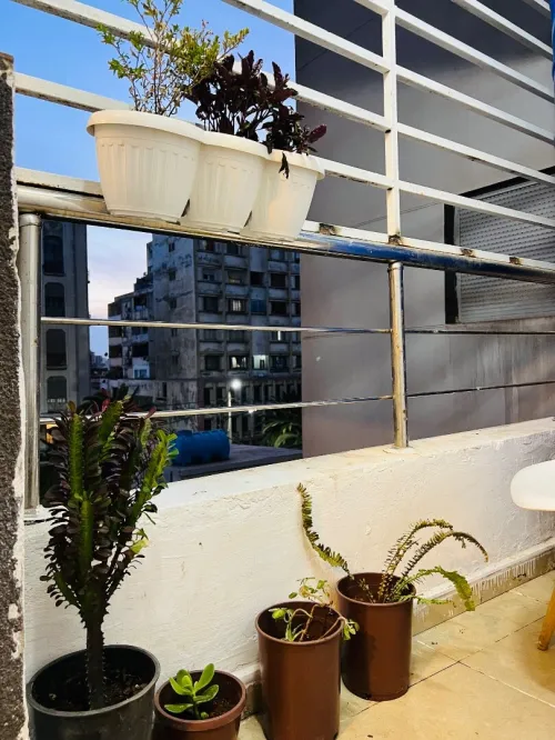 Location vacances Appartement F4 Oran Oran