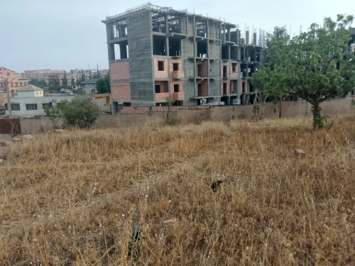 Vente Terrain Médéa Berrouaghia