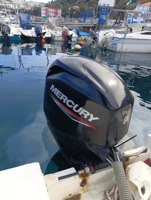 Polyor 5.20 Mercury 60 phourstroke