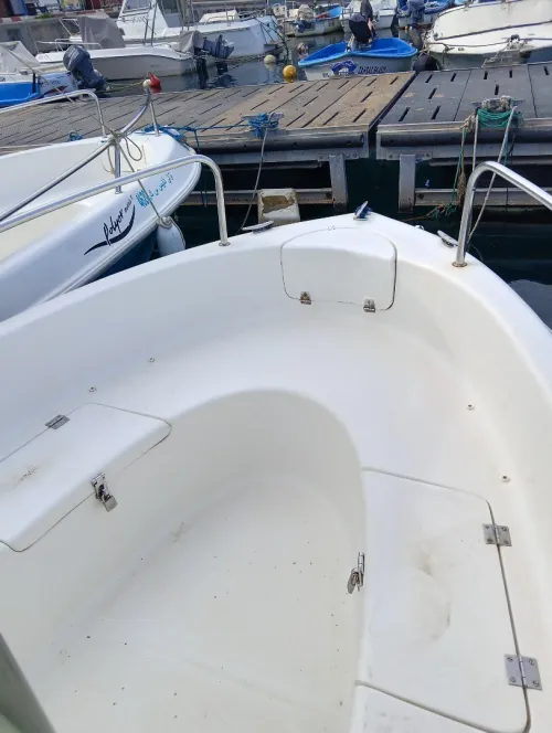 Polyor 5.20 Mercury 60 phourstroke