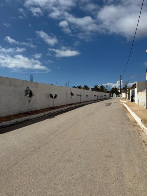 Vente Terrain Mostaganem Mostaganem