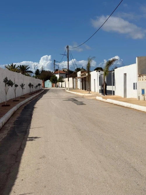Vente Terrain Mostaganem Mostaganem