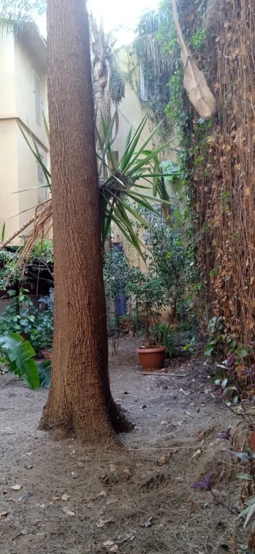 Location Villa Alger Bab ezzouar