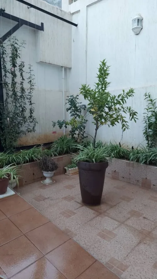 Vente Villa Alger Ouled fayet