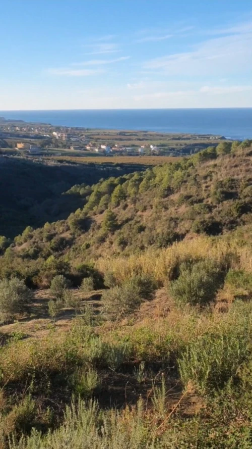 Vente Terrain Tizi Ouzou Azeffoun 6