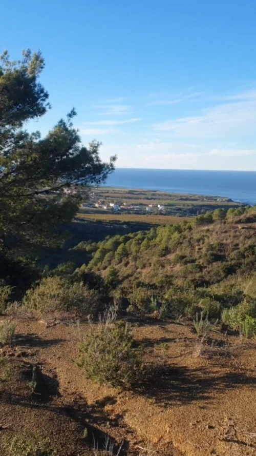 Vente Terrain Tizi Ouzou Azeffoun 4