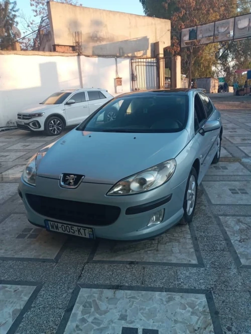 Peugeot 407 2008 407