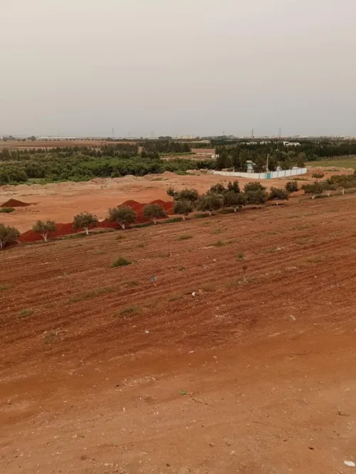 Vente Villa Oran Oran