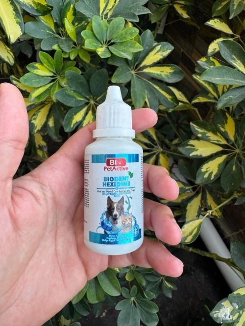 Complément alimentaire et accessoires chiens