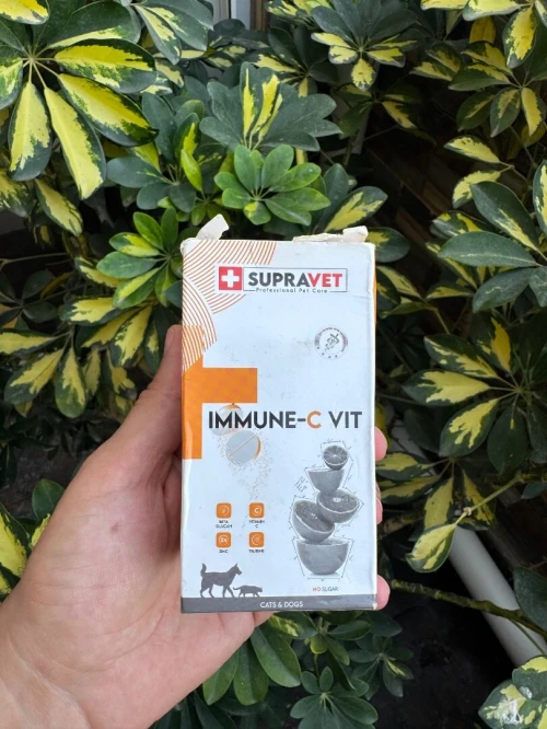 Complément alimentaire et accessoires chiens