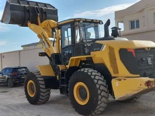 LIUGoNG 856H 2020