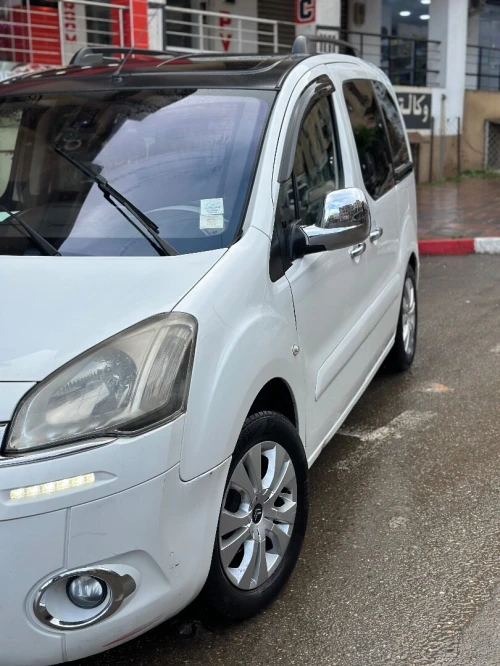 Citroen Berlingo Multispace 2014 Berlingo Multispace