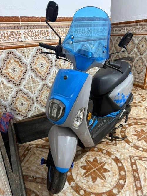 VMS Coxi2 2024