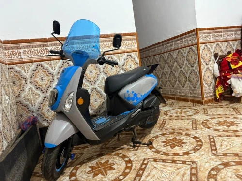 VMS Coxi2 2024