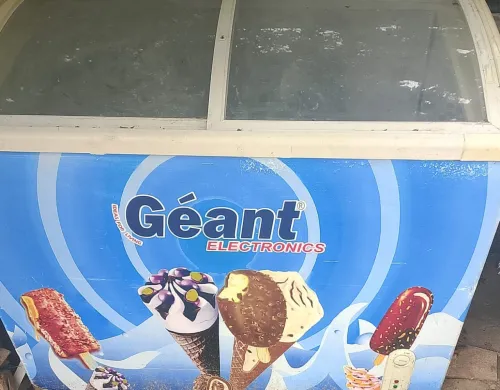 congelateur geant