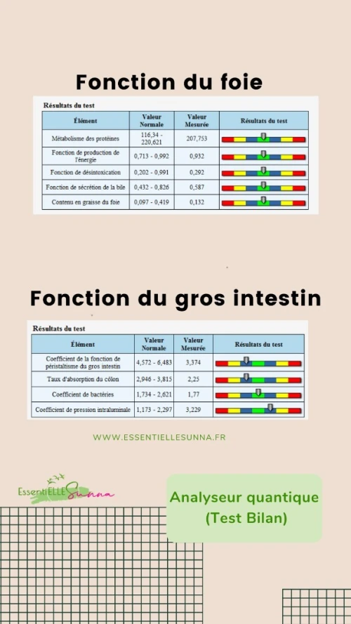 Analyseur Quantique magnetique 