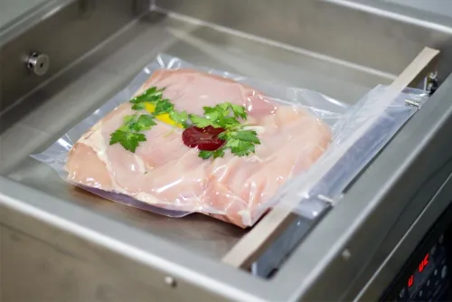 Machine sous vide deux barres VM500E