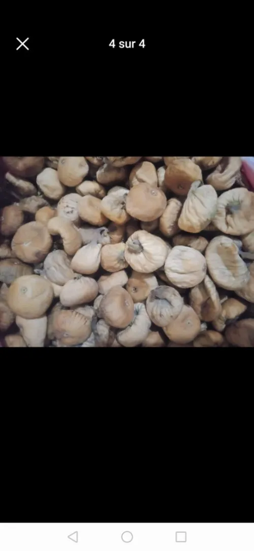 كرموس 