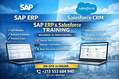 SAP ERP & Salesforce Professional Training