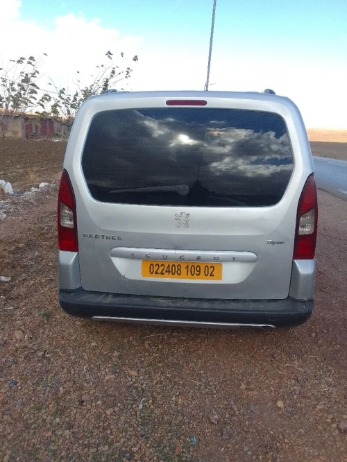 Peugeot Partner 2009 Tepee