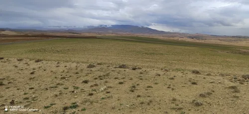 Vente Terrain Agricole Bouira Dirrah