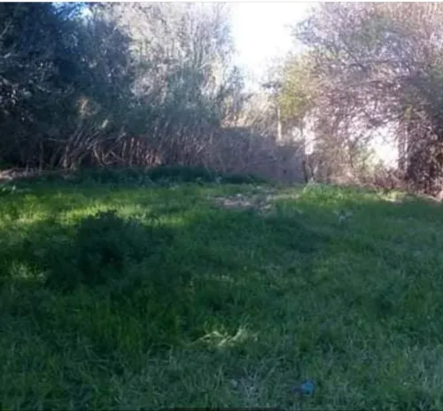 Vente Terrain Tlemcen Chetouane