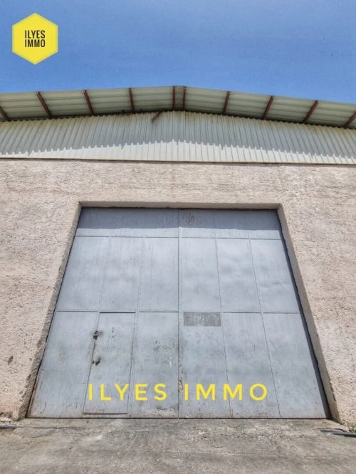 Location Hangar - Usine Sétif Setif